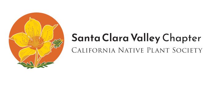 Santa Clara Valley Chapter, California Native Plant Society